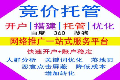 百度SEM推广成功案例，揭秘电商行业的增长秘诀